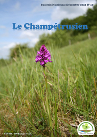 Couverture du bulletin municipal 2021
